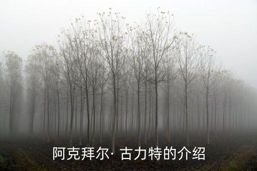 阿克拜爾· 古力特的介紹