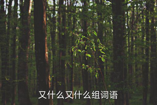 又什么又什么組詞語