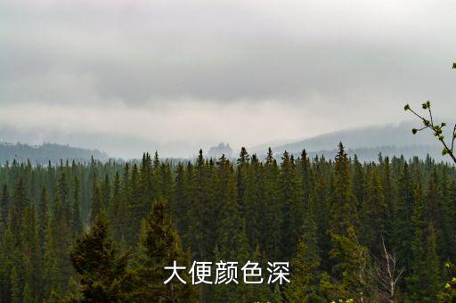 大便顏色深