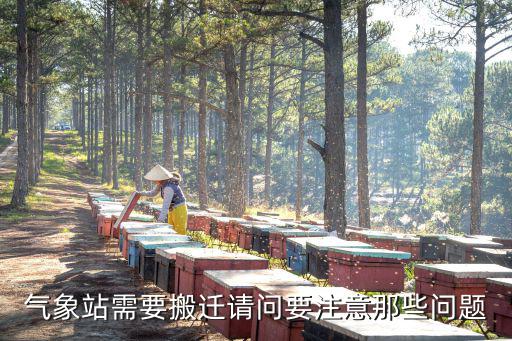 氣象站選址要求，校園自動氣象站選址有什么要求嗎