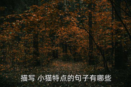 小貓的特點描寫,小花貓的耳朵和眼睛是什么來頭?