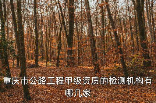 重慶市公路工程甲級資質(zhì)的檢測機構(gòu)有哪幾家