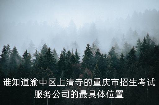 誰知道渝中區(qū)上清寺的重慶市招生考試服務(wù)公司的最具體位置