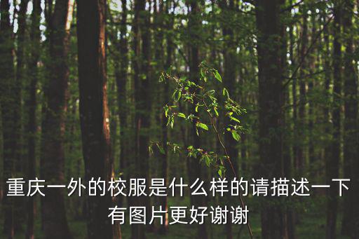 重慶一外的校服是什么樣的請描述一下有圖片更好謝謝