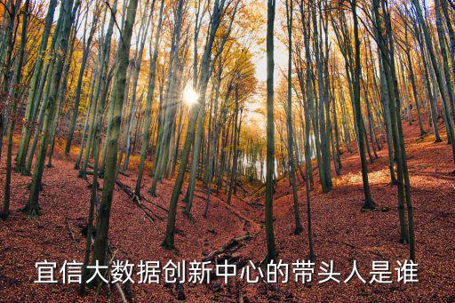市大數據中心主任是什么職位，大數據未來從事什么崗位