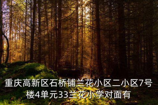重慶高新區石橋鋪蘭花小區二小區7號樓4單元33蘭花小學對面有