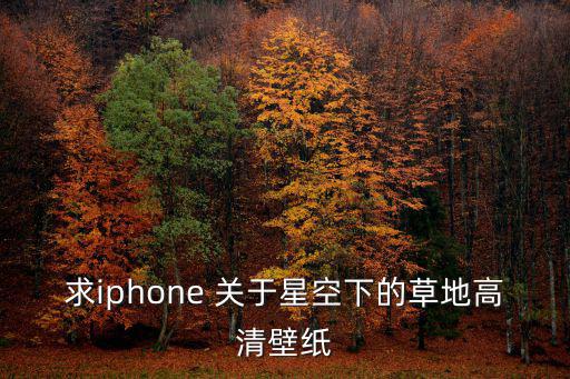 求iphone 關于星空下的草地高清壁紙