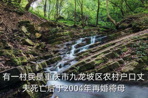 有一村民是重慶市九龍坡區(qū)農(nóng)村戶口丈夫死亡后于2004年再婚將母