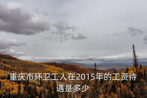 重慶市環(huán)衛(wèi)工人在2015年的工資待遇是多少
