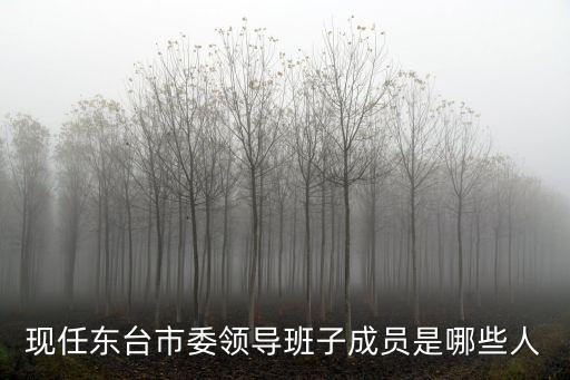 現任東臺市委領導班子成員是哪些人