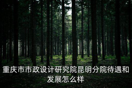 重慶市市政設計研究院昆明分院待遇和發展怎么樣