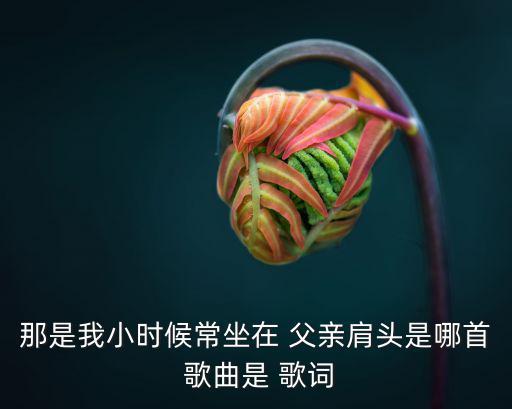 歌曲《父親》歌詞,父親原創歌曲以舒適感性歌曲引人深思
