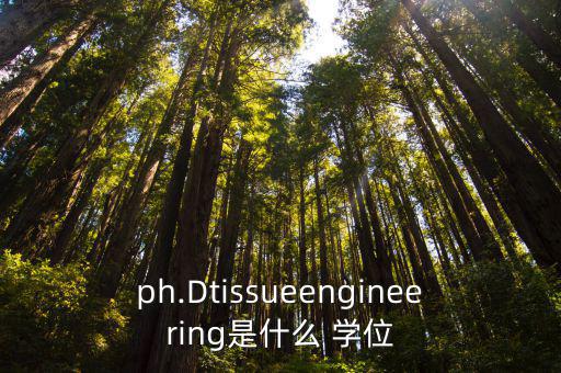 博士學位英文,英國博士學位學位分為四個等級