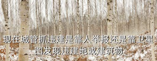 重慶市城管總隊查處違法建筑，適用城管一般程序查處違法行為有哪些步驟