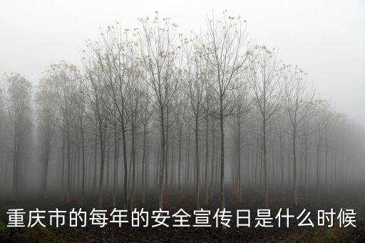 重慶市的每年的安全宣傳日是什么時候