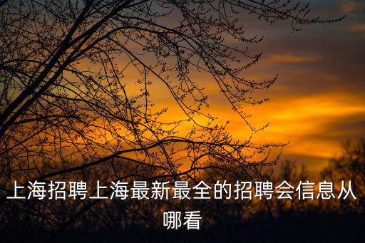 上海招聘上海最新最全的招聘會(huì)信息從哪看
