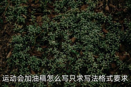 加油稿格式，運(yùn)動(dòng)會(huì)加油稿怎么寫只求寫法格式要求