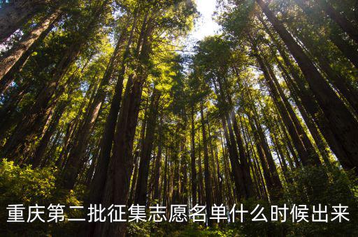 重慶市文藝志愿者 名單，重慶市的物流市場
