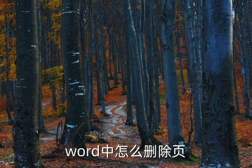 word刪除一頁，如何把word文檔里的一頁刪掉