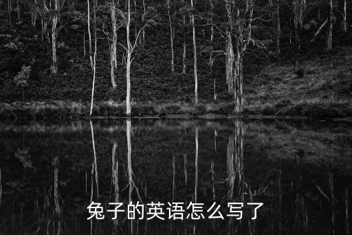 兔子的英語怎么寫了