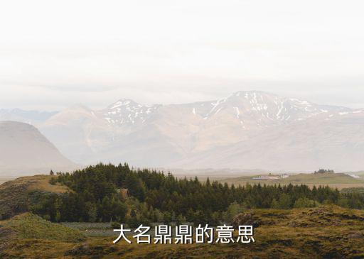  大名鼎鼎的意思