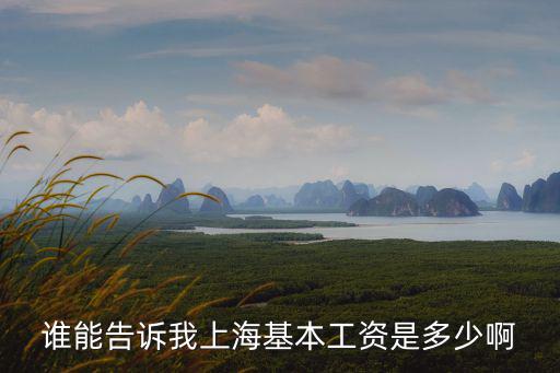 誰能告訴我上海基本工資是多少啊