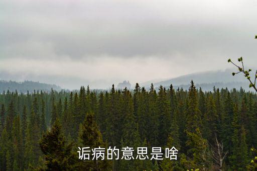 詬病的意思是啥