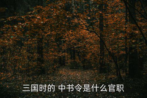 中書令,漢武帝廢中書令成為內書令
