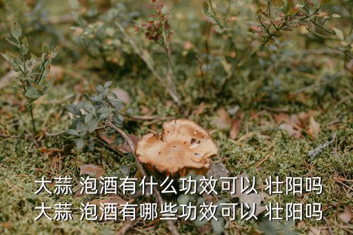大蒜泡酒壯陽配方,大蒜泡酒可單獨(dú)泡泡酒也可和其他一起泡