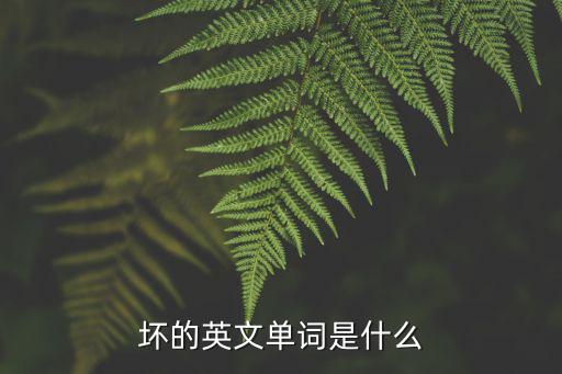 壞的英文單詞是什么