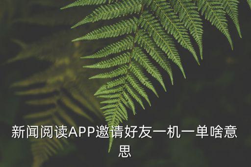 新聞閱讀APP邀請好友一機一單啥意思