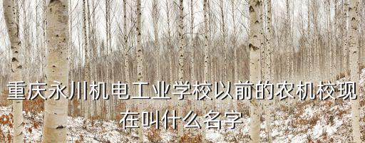 重慶永川機電工業學校以前的農機校現在叫什么名字