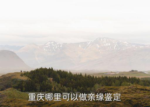 重慶市南岸區正規醫院能做親子鑒定嗎，重慶哪里可以做親緣鑒定