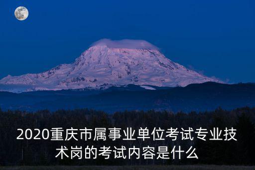 2020重慶市屬事業單位考試專業技術崗的考試內容是什么