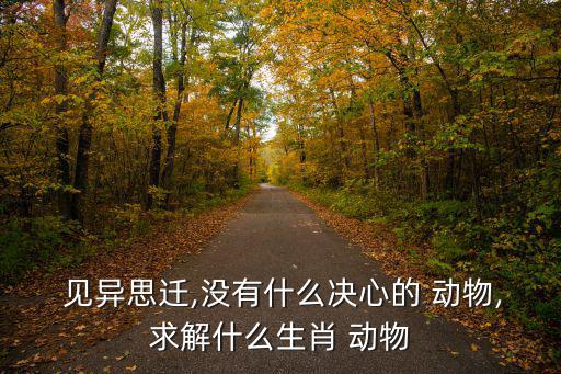 見異思遷打一動(dòng)物,少而學(xué)之:一心一意只專一容易被貶義!