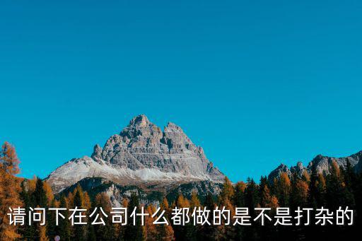 請問下在公司什么都做的是不是打雜的