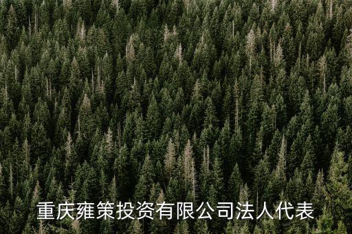 重慶市鐵投褚松濤，重慶雍策投資有限公司法人代表