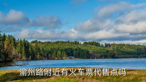 重慶市渝州路交易城電話，重慶哪里有賣避雷卡