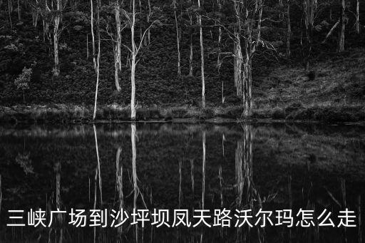 三峽廣場到沙坪壩鳳天路沃爾瑪怎么走