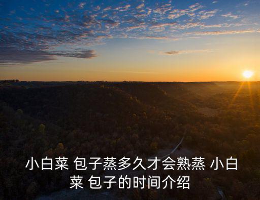  小白菜 包子蒸多久才會熟蒸 小白菜 包子的時間介紹