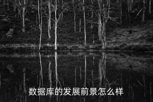 海量數據公司怎么樣，大數據分析平臺哪家好