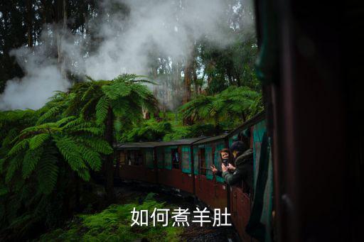 如何煮羊肚