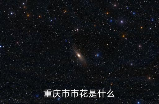 重慶市代表的花卉，重慶的市花是什么花啊