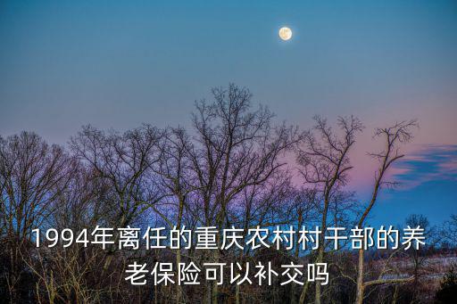 1994年離任的重慶農村村干部的養老保險可以補交嗎