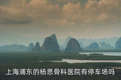 上海浦東新區(qū)浦東醫(yī)院停車，上海浦東的楊思骨科醫(yī)院有停車場(chǎng)嗎