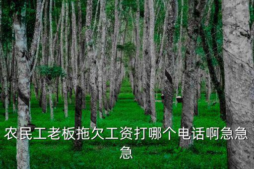 農民工老板拖欠工資打哪個電話啊急急急