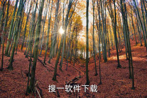 搜一軟件下載