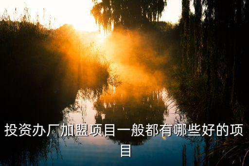 投資辦廠加盟項目，投資辦廠加盟項目一般都有哪些好的項目
