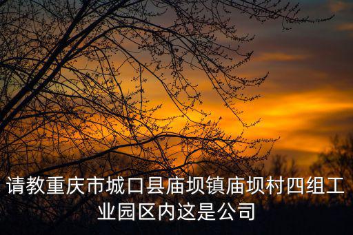 請教重慶市城口縣廟壩鎮廟壩村四組工業園區內這是公司