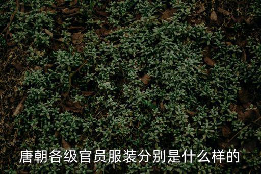 官樣,官樣文章《同義詞思路》第一集
